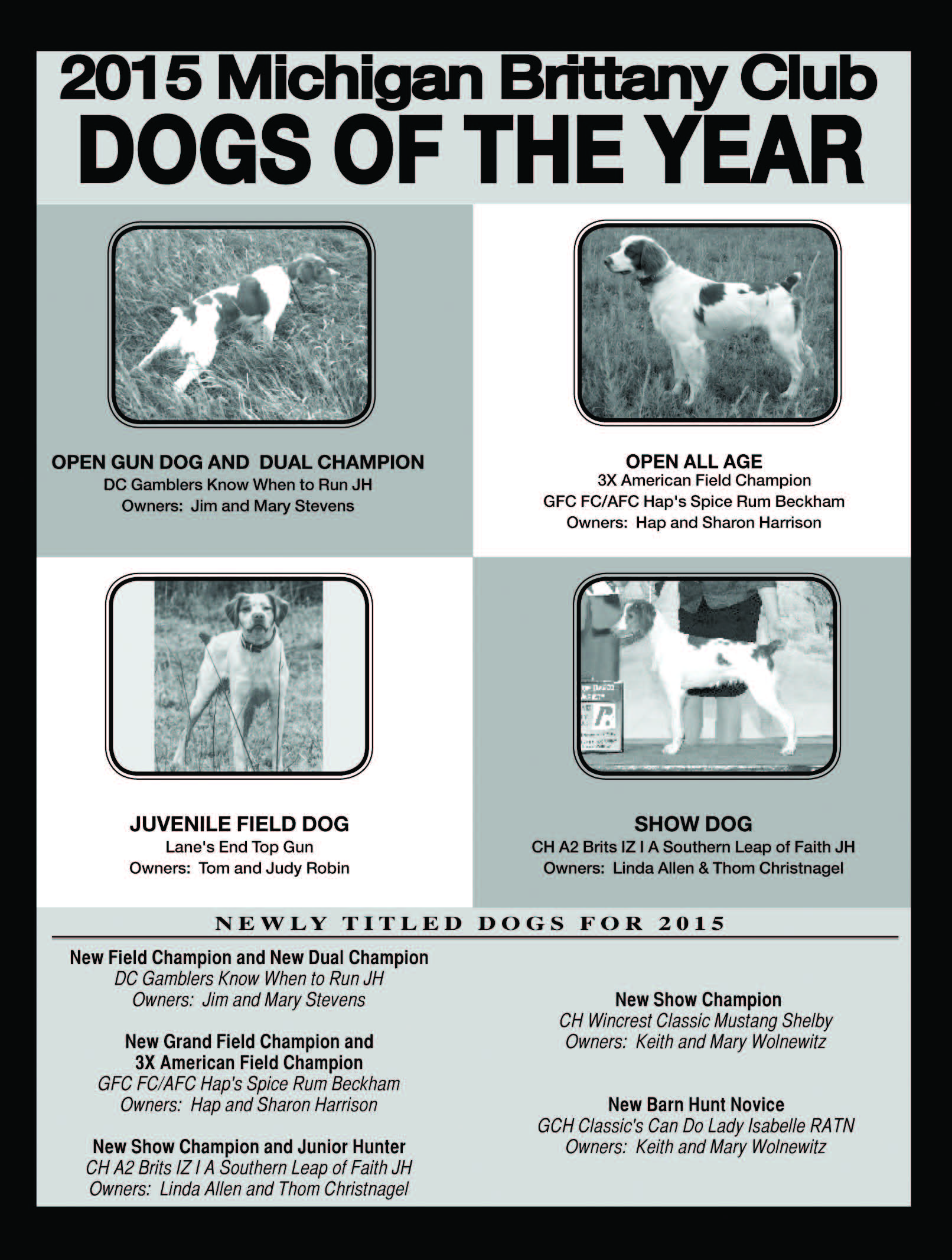 MBC Dogs of the Year 2015