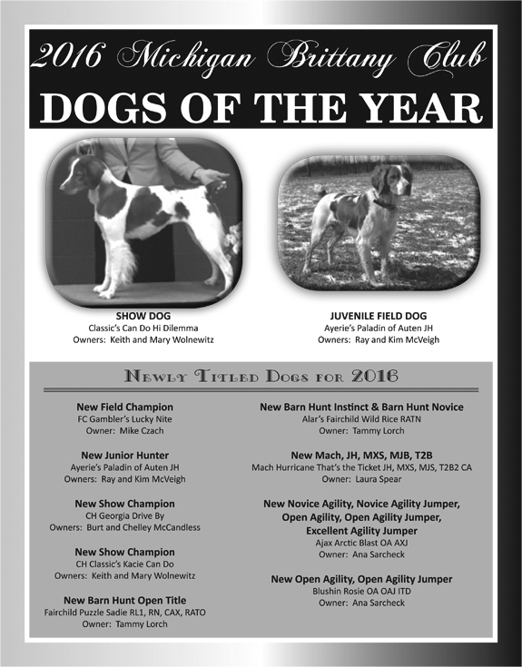 MBC Dogs of the Year 2016