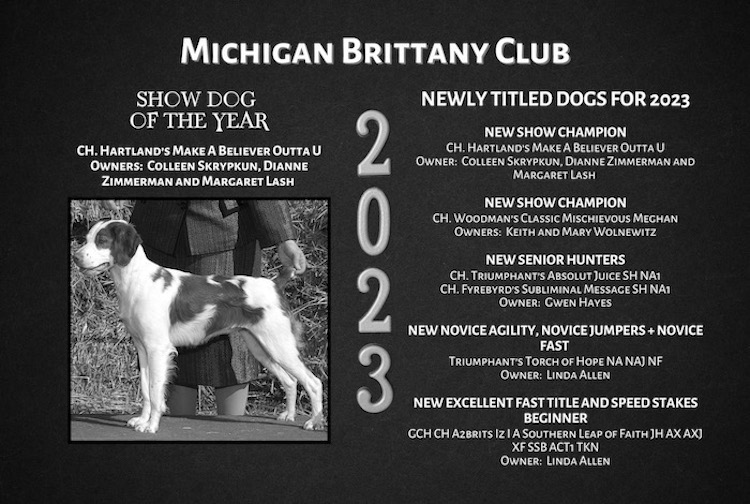 MBC Dogs of the Year 2023